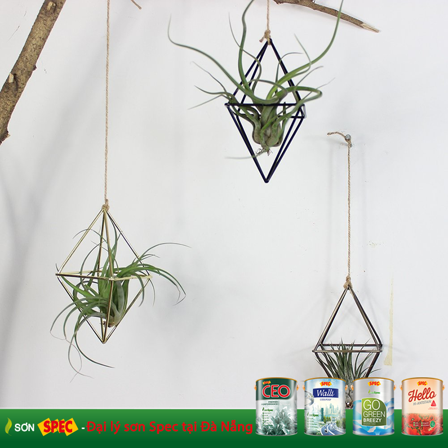 Đại lý sơn Spec tại Đà Nẵng