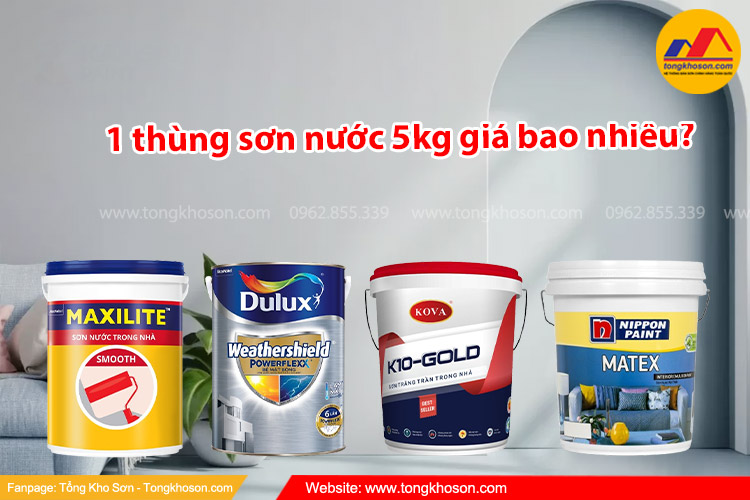 1 thùng sơn nước 5kg giá bao nhiêu? Sơn được bao nhiêu m2