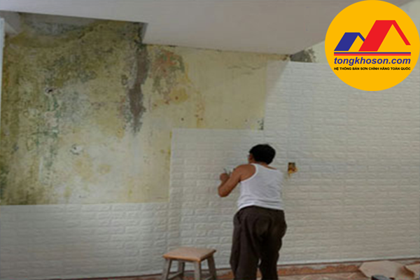 Có nên sử dụng sơn chống thấm tại Tuyên Quang hay không
