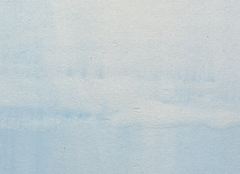 Hiện tượng phai màu sơn