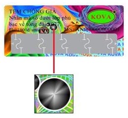 Nhận biết sơn Kova giả 3
