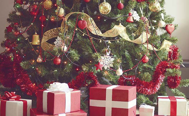 cây thông noel