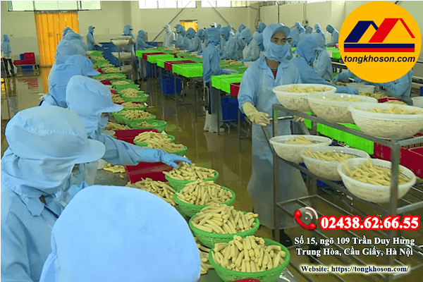 thi công sơn epoxy cho nhà máy chế biến thực phẩm thi công sơn epoxy cho nhà máy chế biến thực phẩm