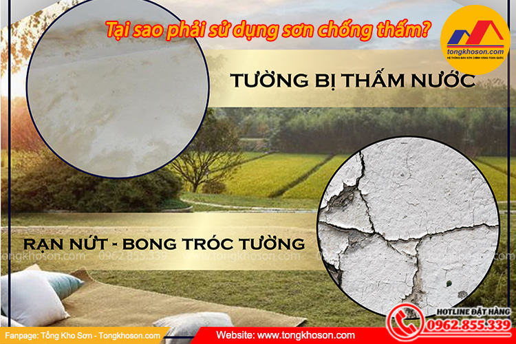 Tại sao phải sử dụng sơn chống thấm?