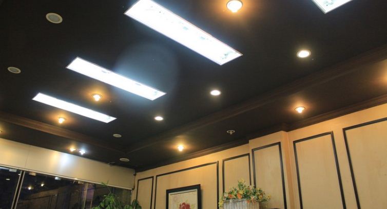 Mẫu sơn trần nhà màu đen 2