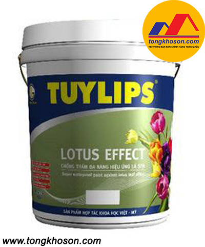 Sơn chống thấm ngược Tuylips