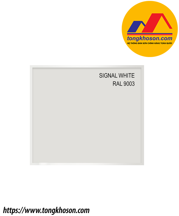 RAL-9003-son-pu-2-thanh-phan-ppg-tongkhoson.jpg