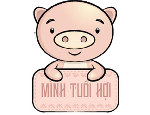 Tuổi Hợi hợp với màu gì?