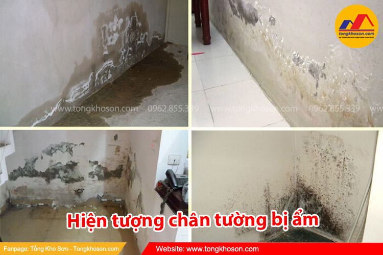 Nguyên nhân khiến chân tường nhà bị ẩm