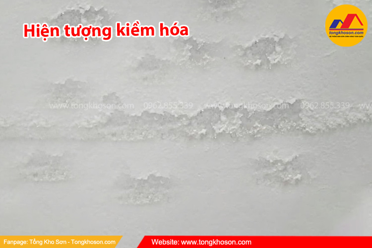 Hiện tượng kiềm hóa