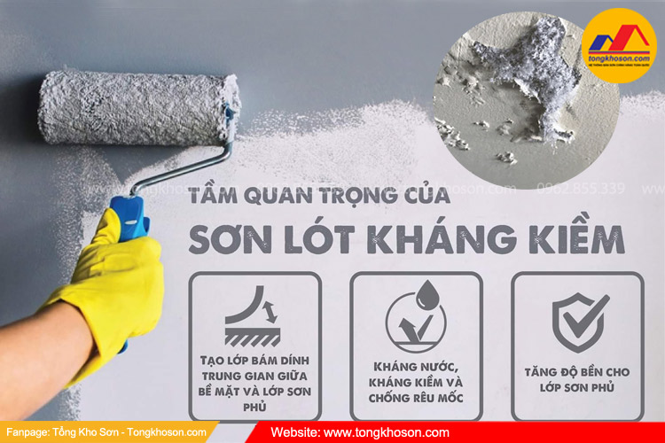 Hiện tượng kiềm hóa và cách xử lý đơn giản