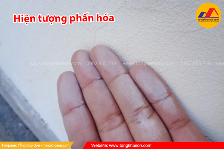 Hiện tượng phấn hóa