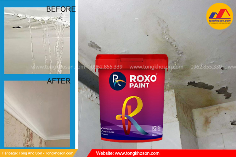 Lợi ích chống thấm nhà vệ sinh với keo chống thấm ROXO