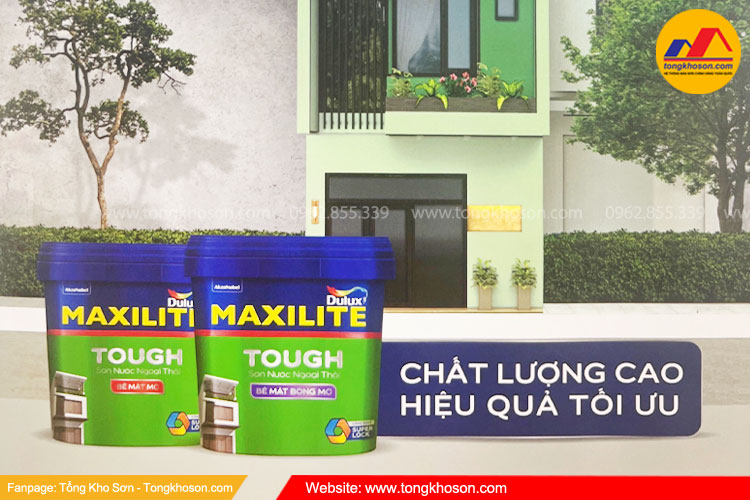 Khu vực miền Trung nên sử dụng Sơn Maxilite