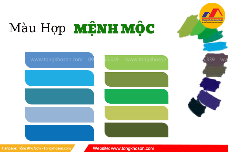 Năm 2024, người mệnh Mộc nên sơn nhà màu gì? 