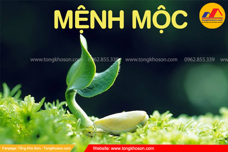 Mệnh Mộc