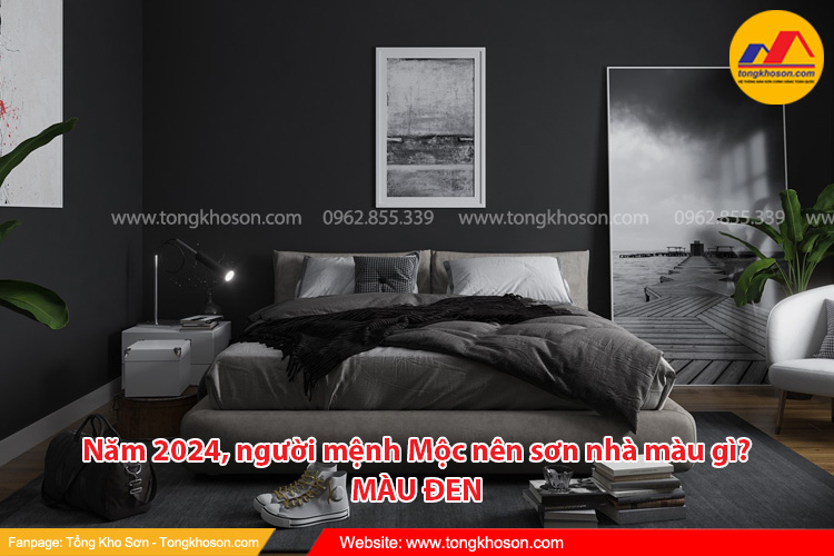 Năm 2024, người mệnh Mộc nên sơn nhà màu đen