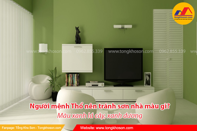 Gia chủ mang mệnh Thổ không nên sơn nhà màu xanh