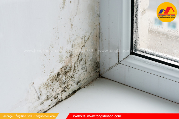 Tại sao sơn tường bị phồng rộp?