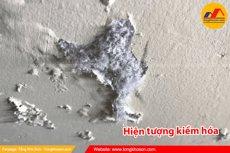 Nguyên nhân hiện tượng kiềm hóa
