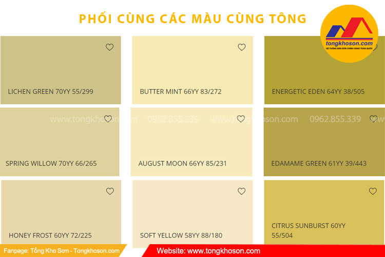Phối màu vàng kem cùng các màu cùng tông