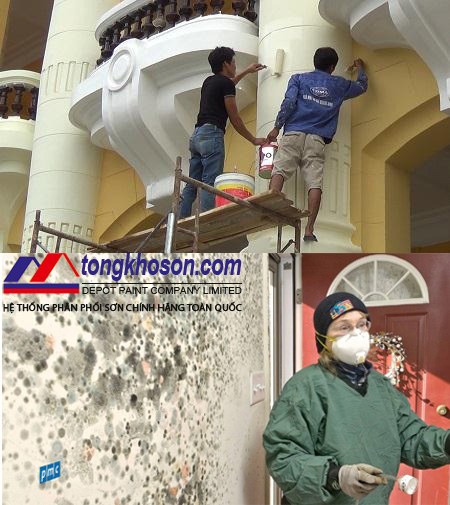 Thi công sơn chống thấm đa năng