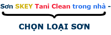chọn loại sơn Skey