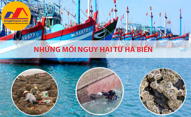 son chong ha tau bien