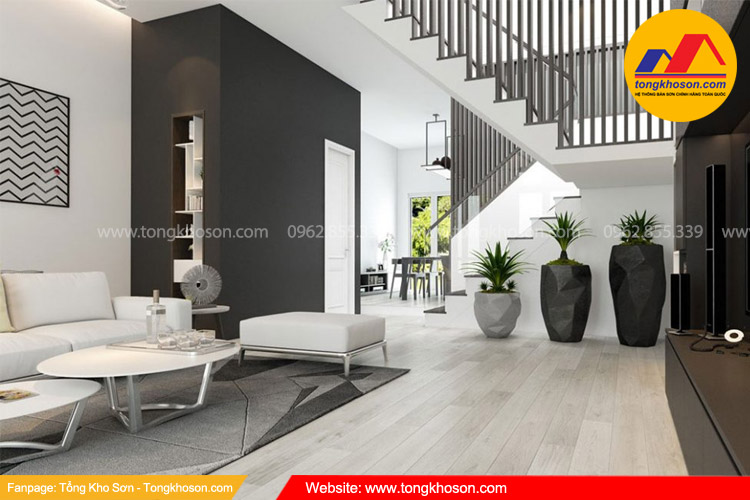 Sơn nhà màu đen kết hợp với màu trắng