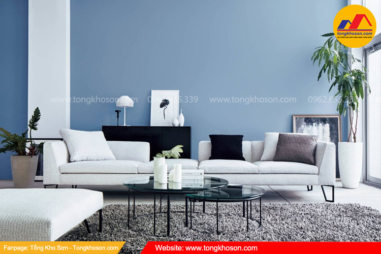 Sơn nahf màu xanh lam đón tết 2024