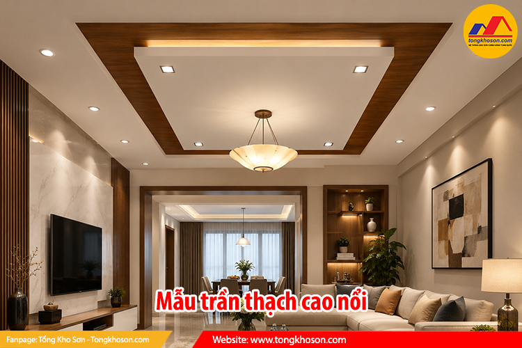 Mẫu trần thạch cao nổi