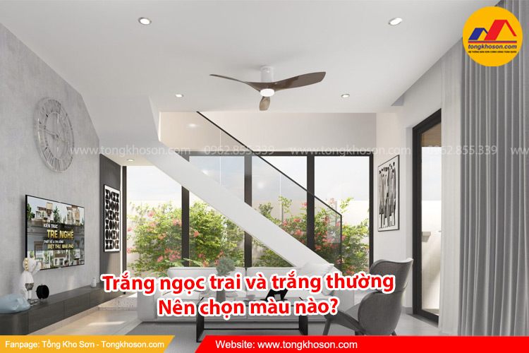 Trắng ngọc trai và trắng thường nên chọn màu nào? | Tongkhoson.com